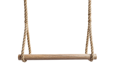 Rope swing hanging from a tree