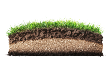 Close up of a grassy field with a layer of dirt underneath