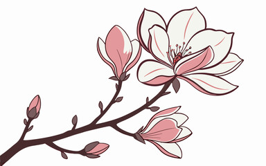 Magnolia Branch with Pink Flowers