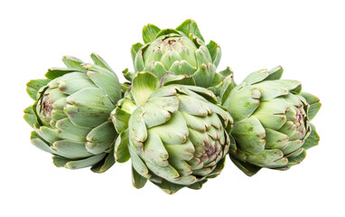 Obraz premium Four green vegetables with a white background