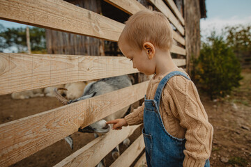 child in denim overalls walking on a farm in summer