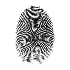 Intricate Swirls of Identity A Close-Up View of a Unique Fingerprint