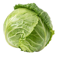 Obraz premium cabbage isolated on white background