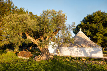 A traditional trullo with a conical stone roof stands quietly in the countryside of Puglia. This...