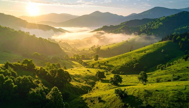 Lush green valley shrouded in morning mist, sun rays breaking through fog, realistic textures and colors, full-resolution photography