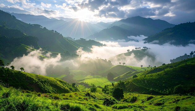 Lush green valley shrouded in morning mist, sun rays breaking through fog, realistic textures and colors, full-resolution photography