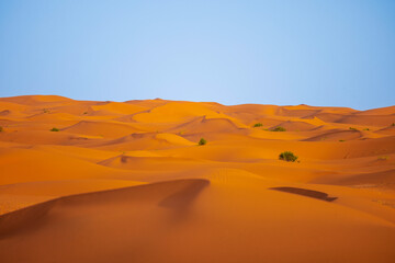 The golden Sand Dunes Of Merzouga , Erg Chebbi Morocco 