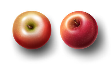 realistic apple fruits isolated on the white background top view design template vector illustration.delicious fruits concept clip art design.