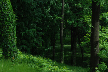 Park