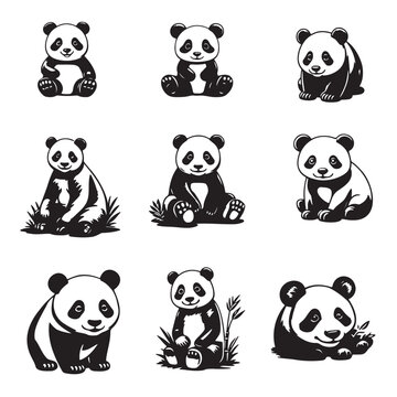panda