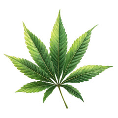 Intricately Textured Green Cannabis Leaf Against Transparency, Showcasing Natures Serrated Elegance