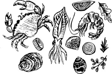 Seafood illustrations including crab, shrimp, squid, and shellfish  