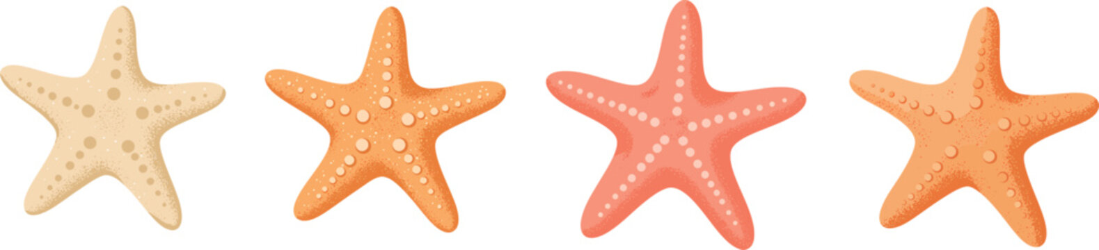 Starfish Vector Illustration Featuring Detailed Orange Texture on Transparent Background for Ocean, Beach, and Marine Life Designs