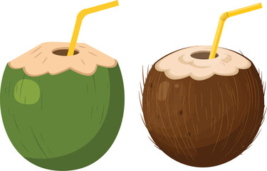 Refreshing Coconut Water Drink Vector Illustration with Straw and Green Coconut on Transparent Background for Tropical Beverage and Summer Themes