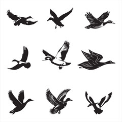 Silhouette Illustrations of Flying Ducks – Vector Collection