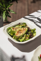 Portion of gourmet green salad with avocado and cucumber