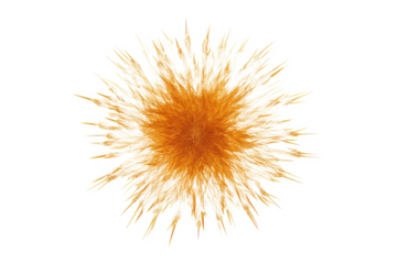 Abstract orange flower burst isolated on transparent background