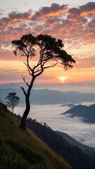 Obraz premium Solo Tree Silhouette at Sunset Over a Sea of Clouds and Mountains