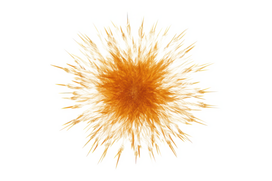 Abstract orange flower burst isolated on transparent background