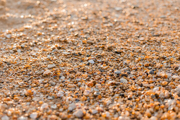 close-up of sand, shells and the sea