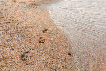 close-up of sand, shells and the sea