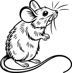 vector illustration of a squirrel