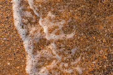 close-up of sand, shells and the sea