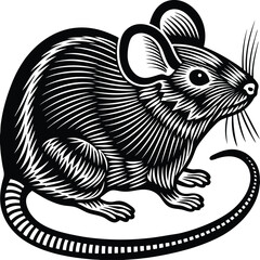 vector illustration of a white rat