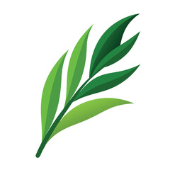 Green Grass Borders Set Isolated White Background With Gradient Mesh, Vector Illustration.