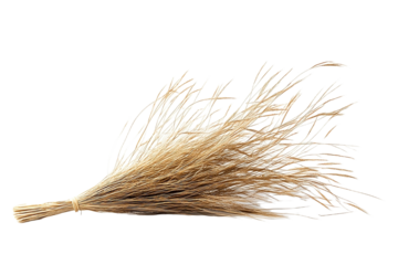 Simple household tool made from nature