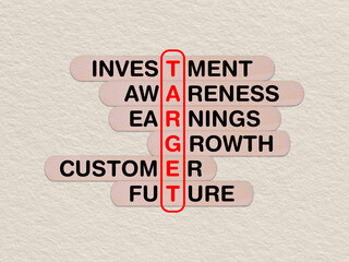 concept word target, crossword written on wooden stick, business target concept with copy space