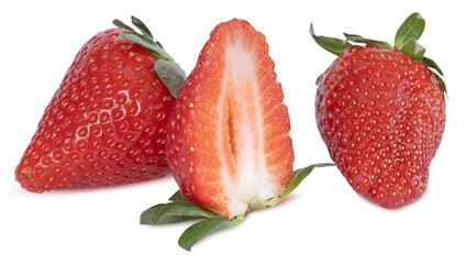 Fraises Gariguette	