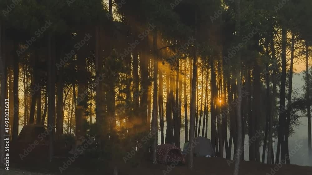 Aufkleber forest camp at sunset: serene campsite bathed in the warm glow of sunset, creating a tranquil atmosp