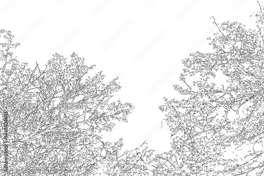 Poster vector illustration of a natural frame with copy space, created from the contour of deciduous tree b