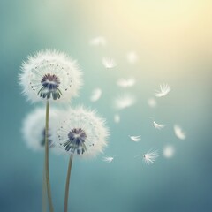 dandelion on blue