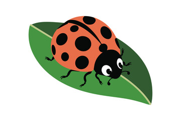 Cute Ladybug on Leaf Cartoon Insect Vector Illustration for Kids