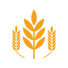 Vector Elements Inspired by Grains Collection