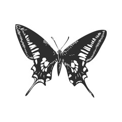 Fototapeta premium Butterfly Silhouette Illustration. Symbol Of Transformation And Beauty Isolated Vector Illustration