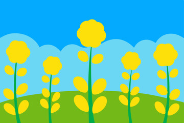 Fototapeta premium yellow flowers and blue sky