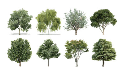 Fototapeta premium Collection of beautiful 3D isolated trees PNG, vector illustration, landscape architecture, garden decoration ideas, urban planning visualization, natural environment, exterior design concepts.