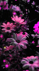 pink flowers on black background