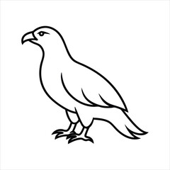 eagle isolated on white background