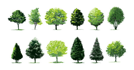 Fototapeta premium Vector illustration of green tree icons, forest symbols, nature graphics, botanical vectors, ecological designs, leaf shapes, tree silhouettes, organic style, environment visuals, plant motifs.