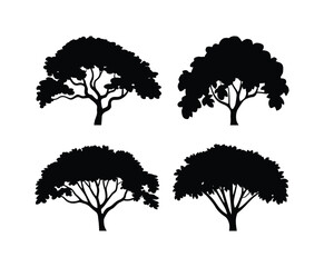 Simple Teak Tree Silhouette Isolated EPS Template