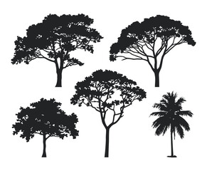 Fototapeta premium Teak Tree Silhouette Vector Set Illustration