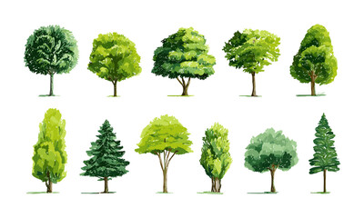 Fototapeta premium Green tree vector icon set collection on white background, nature symbol, forest tree vector illustration, eco concept, foliage graphic, park landscape design, silhouette, environment clipart, png.