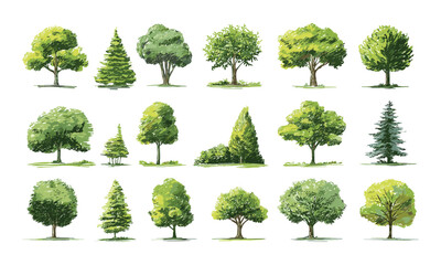 Nature tree vector illustration set, green forest icons collection on white background, foliage park elements, eco concept, plant silhouette, environment graphics, gardening clipart, botanical, png.