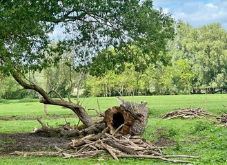 Biosph&auml;re Bliegau 