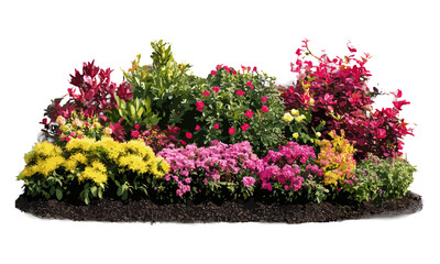 Colorful shrubs, garden plants, ornamental greenery for parks, vector illustration, landscape gardening concepts, seasonal flowers and shrubs, decorative foliage, png.