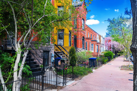 Colorful rowhouses on Capitol Hill in Washington, DC. Historic charm and springtime bloom.